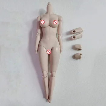חדש 1/6 Bjd Encapsulation החיילת גופתו של רב המפרקים מטלטלין גדול/ חזה קטן בגוף בנות Diy להתלבש צעצועים מתנות